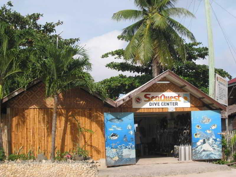 Sumisid Lodge Moalboal Exteriör bild